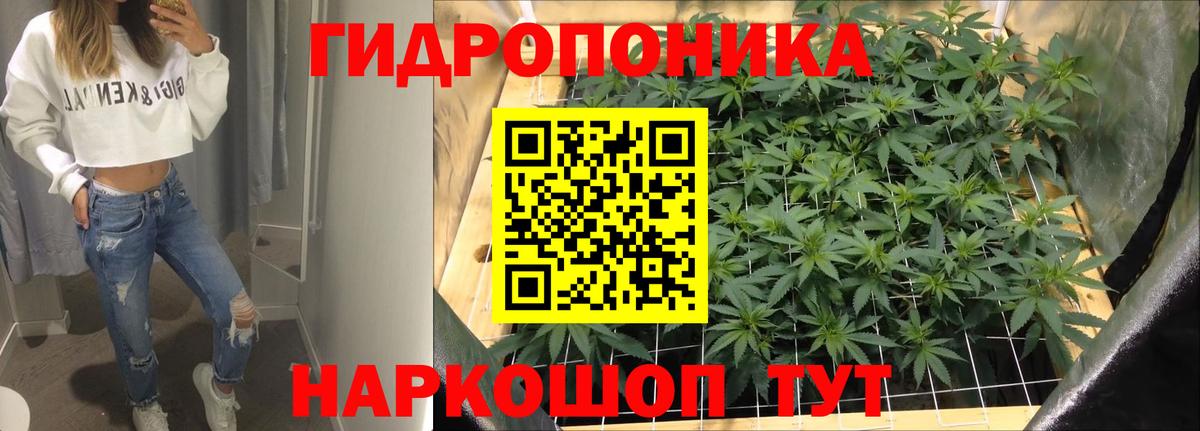 Конопля марихуана  МАРИХУАНА индика  Кинель  Каннабис марихуана  Вход с VPN  Шишки марихуана марихуана 